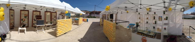 apicultura-murcia-7.jpg